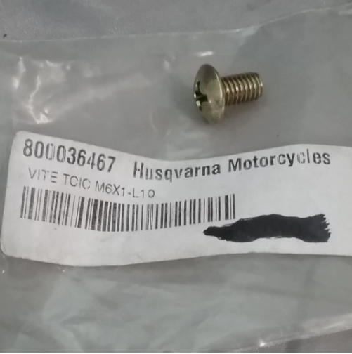 Husky Screw Phillips head- for plastics 6*1*10